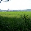 Tour 6: Naturpark Usedom